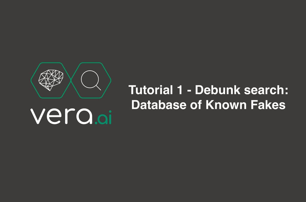 veraAI Tutorial 1: Debunk search