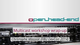 Feedback from the Multicast Workshop
