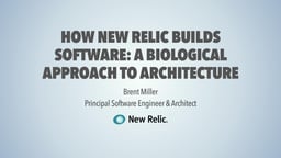 How does New Relic build software? A biological approach to architecture