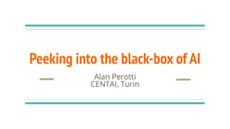 Peeking into the black-box of AI