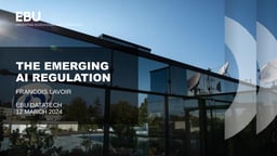 The emerging AI regulation