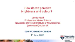 How do we perceive brightnesscolourfulness?