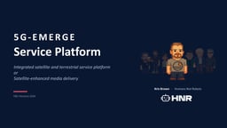 Integrated satellite and terrestrial service platform
