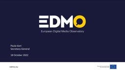 Disinformation and societal resilience