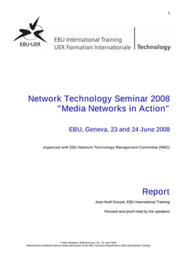 Media Networks in Action 2008 - report