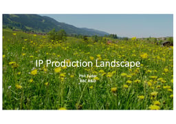 The IP Production Landscape