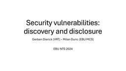 Security vulnerabilities: discovery and disclosure