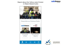 Yellow Jackets