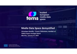 Media Data Spaces Demystified