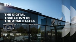 The digital transition in the Arab States