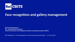Face recognition and gallery management