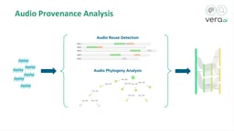 VeraAI audio tools