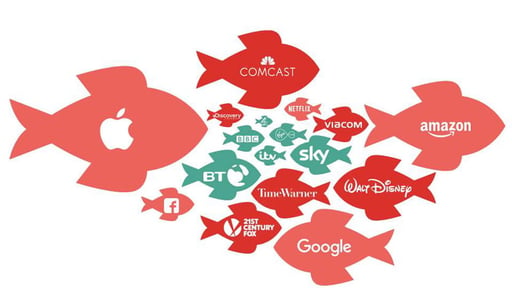 A challenging Forecast for broadcasters