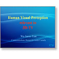 3D TV Workshop Human visual perception Relevant to 3D TV