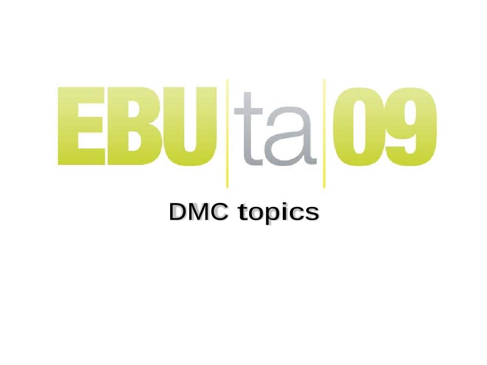 Key issues for the DMC in 2009