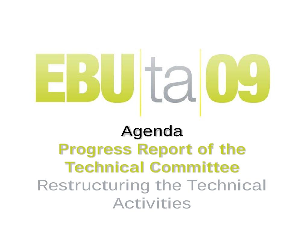 Progress report of the Technical Committee