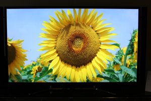 4k Sony