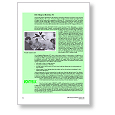 Tech Review 264 Montreux '95 report